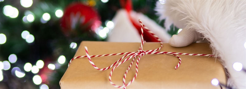 Santa Claus holding a present wrapped in brown paper with a red and white rope tied around it